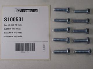 RE Bolzen M8 x 30 (10x) S100531
