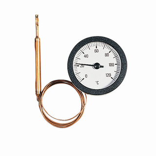 Watts Fernthermometer mit Kapillare, TC 50/100