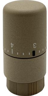 Bemm Thermostat Testa 70x39x39mm, M 30x1,5, verchromt