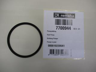 RE Dichtung Pumpe 7700944