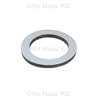 HAAS Verschraubungsdichtung 17x24x2mm, 3/4", 5 Nm, max 7 b, f Sol, s