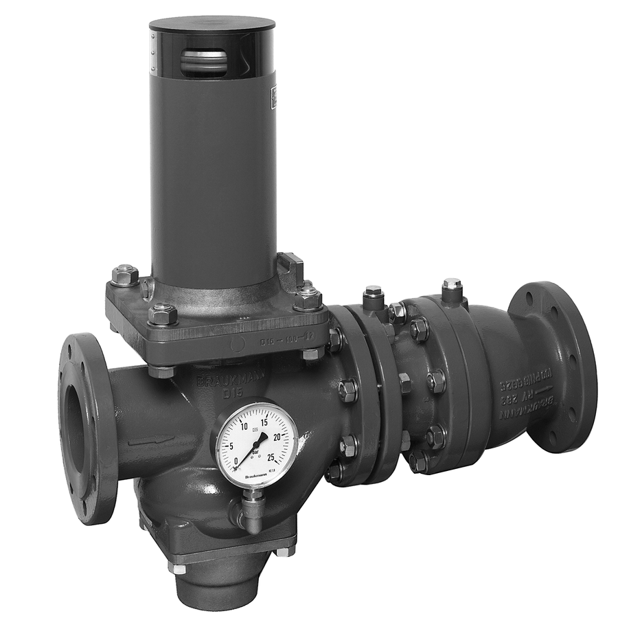 Artikelbild 2 des Artikels „Resideo Rohrtrenner R295P-F GA (EA1), DN 80, 0,5 b, m Fl, GG GG25, p GA (EA1), DN 80, 0,5 bar“