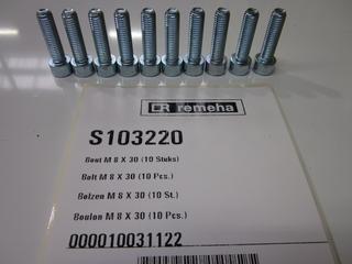 RE Schrauben M 8 x 30 (10x) S103220