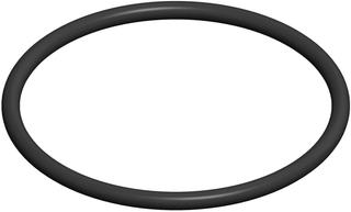 MHG Abgas-O-Ring-Dichtung DN 80, für Kontroll-Bauteile