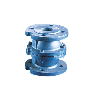 Watts Rückflussverhinderer 407 DN 125, PN 10/16