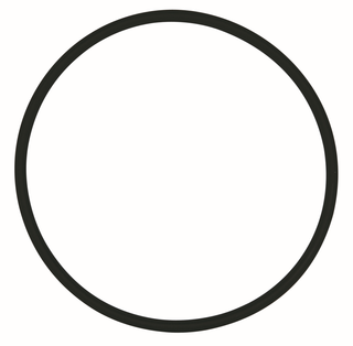 SYR O-Ring zur Filtertasse, für DRUFI +