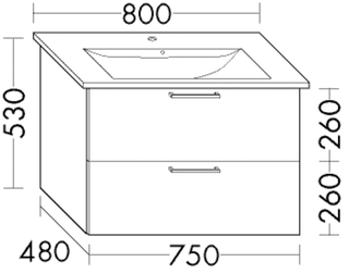 FORMAT Design WT-Unterschrank WVBR075 750x480x520mm, 1 L/1 Ausz., anthr. hgl