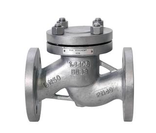 KSB Rückschlagventil BOACHEM RXA, DN 15 PN 10/40, Werkstoff 1.4408