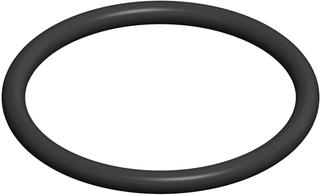 MHG Abgas-O-Ring-Dichtung DN 60, für Kontroll-Bauteile