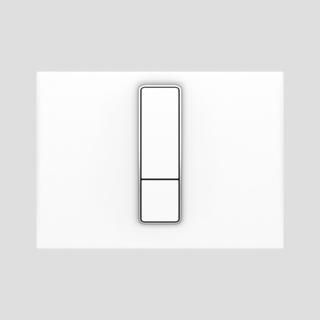 Sanit Betätigungsplatte INEO BRIGHT 2-Mg-Spül., 202/145/10mm, D.plast, w-a