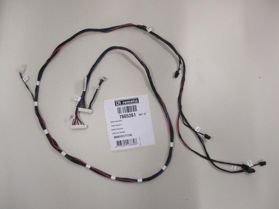 Artikelbild 1 des Artikels „RE Kabelbaum LV / ELV BIC 7665261 “
