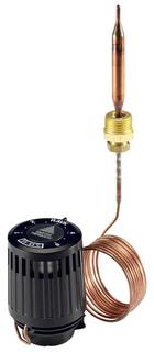 Danfoss Thermostatisches Element RAVK Fernfühler, 25-65C, Kapillare 2,0 m