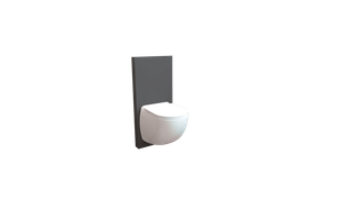 SFA Wand-WC SaniCompact Comfort Box anthr., m Hebeanl., Rahmen u. Verkl.