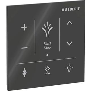 Geberit Wandbedienpanel AquaClean Sela zur AP-Montage